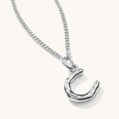 Horseshoe Necklace Silver